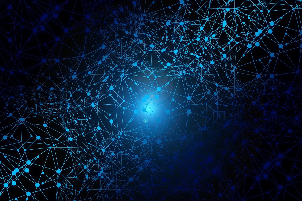 Data Management Services