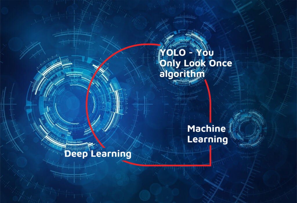 Digitising bug detection with Cognito AI- Key Challenge 2 (2)