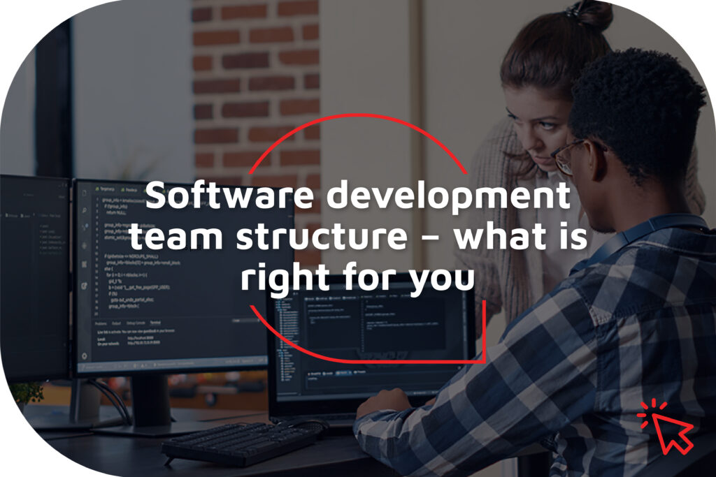 Software Development Teams